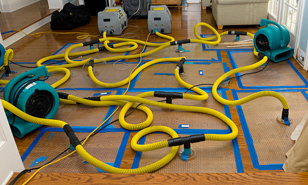Professional Crawl Space Water Removal technician working in Staley, NC